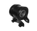 TEDGUM Uloen dicho mechanismu ‐ TDG 00390108