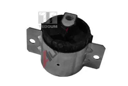 TEDGUM Ulo�en� nosn�ku ru�n� p�evodovky TDG 00416330, 00416330