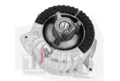 TEDGUM Zaven motoru TDG 00418473, 00418473