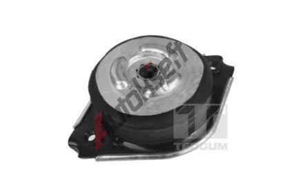 TEDGUM Zaven motoru TDG 00418536, 00418536