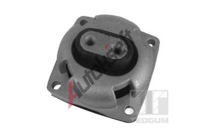 TEDGUM Uloen automatick pevodovky TDG 00418581, 00418581