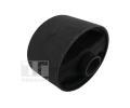 Zaven motoru TEDGUM ‐ TDG 00442052