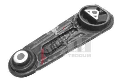 TEDGUM Zaven motoru TDG 00586572, 00586572