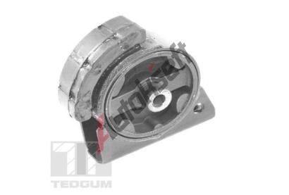 TEDGUM Zaven motoru TDG 00671816, 00671816