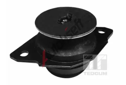TEDGUM Uloen nosnku run pevodovky TDG 00725600, 00725600