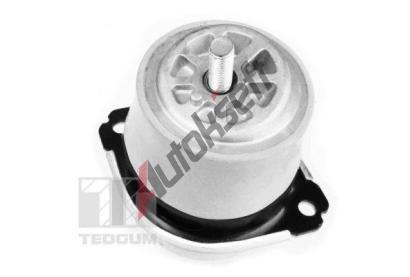 TEDGUM Zaven motoru TDG 00728486, 00728486