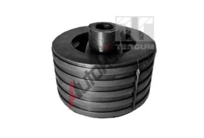 TEDGUM Zaven motoru TDG 00747776, 00747776