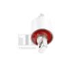 TEDGUM Uloen dicho mechanismu TDG TED13672, TED13672