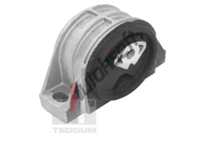 TEDGUM Zaven motoru TDG TED16678, TED16678