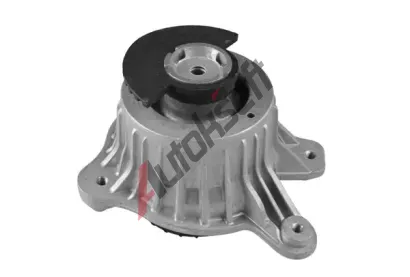TEDGUM Zaven motoru TDG TED25884, TED25884