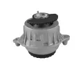 TEDGUM Zaven motoru TDG TED25884, TED25884