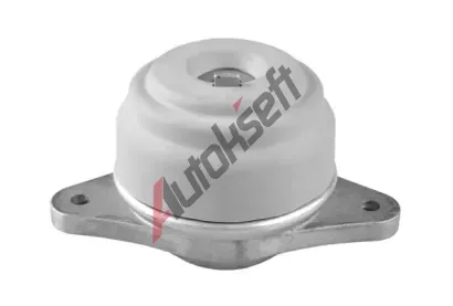 TEDGUM Zaven motoru TDG TED36858, TED36858