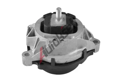 TEDGUM Zaven motoru TDG TED38660, TED38660