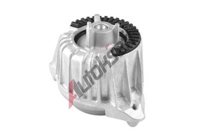TEDGUM Zaven motoru TDG TED39310, TED39310
