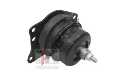 TEDGUM Zaven motoru TDG TED40385, TED40385
