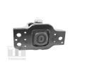 TEDGUM Zaven motoru TDG TED42243, TED42243