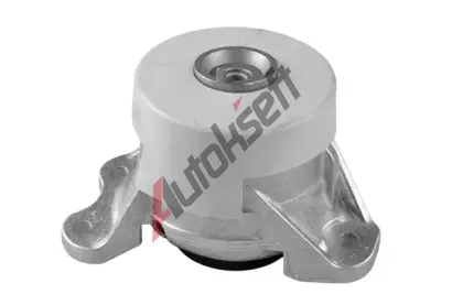 TEDGUM Zaven motoru TDG TED46809, TED46809
