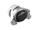 TEDGUM Zaven motoru TDG TED46809, TED46809