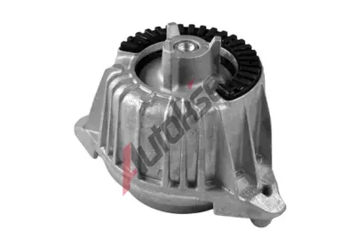 TEDGUM Zaven motoru TDG TED53841, TED53841