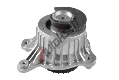 TEDGUM Zaven motoru TDG TED53873, TED53873