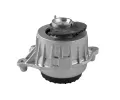 TEDGUM Zaven motoru TDG TED57865, TED57865