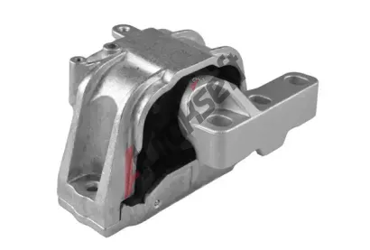 TEDGUM Zaven motoru TDG TED63421, TED63421