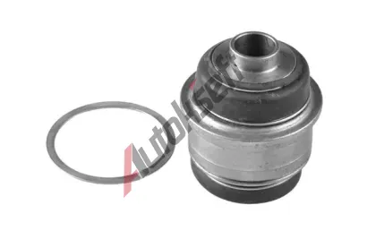 TEDGUM Uloen dicho mechanismu TDG TED66909, TED66909