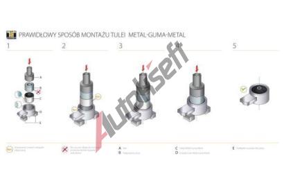 TEDGUM Uloen dicho mechanismu TDG TED75363, TED75363