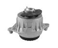 TEDGUM Zaven motoru TDG TED84941, TED84941