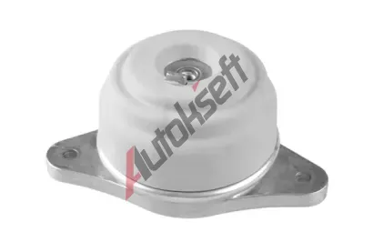 TEDGUM Zaven motoru TDG TED89601, TED89601