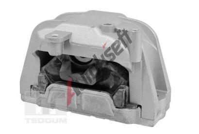 TEDGUM Zaven motoru TDG TED98366, TED98366