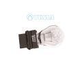 rovka blikae TESLA ‐ TE B77291