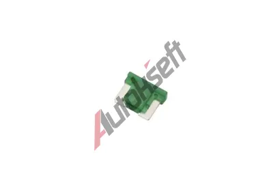 TESLA Pojistka TE FL00.030.001, FL00.030.001