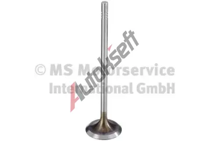 TRW Engine Component Sac ventil TEC 331167, 331167