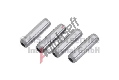 TRW Engine Component Vodtko ventil TEC 81-18115, 81-18115