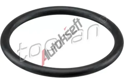 TOPRAN Tsnn plastu vzduchovho filtru TPR 113 884, 113 884