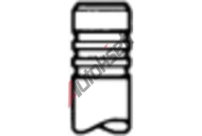 TRW Engine Component Sac ventil TRE 539018, 539018
