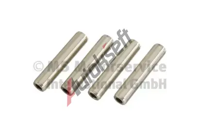 TRW Engine Component Vodtko ventil TRE 81-11123, 81-11123