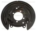 TRISCAN Ochrann plech proti neistotm brzdovho kotoue TRI 8125 13201, 8125 13201