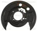Ochrann plech proti neistotm brzdovho kotoue TRISCAN ‐ TRI 8125 15201