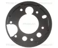 Ochrann plech proti neistotm brzdovho kotoue TRISCAN ‐ TRI 8125 23213