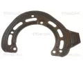 Ochrann� plech proti ne�istot�m brzdov�ho kotou�e&nbsp;TRISCAN&nbsp;&dash;&nbsp;TRI 8125 24118