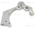 Ochrann plech proti neistotm brzdovho kotoue TRISCAN ‐ TRI 8125 29116
