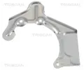 TRISCAN Ochrann plech proti neistotm brzdovho kotoue TRI 8125 29116, 8125 29116