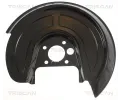 Ochrann plech proti neistotm brzdovho kotoue TRISCAN ‐ TRI 8125 29211