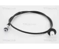 Nhon tachometru TRISCAN ‐ TRI 8140 10406
