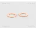 TRISCAN Brzdov hadice TRI 8150 13137, 8150 13137