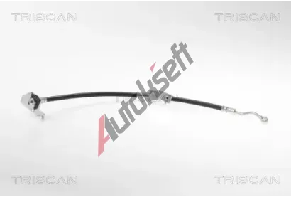 TRISCAN Brzdov� hadice TRI 8150 18173, 8150 18173