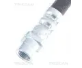 TRISCAN Brzdov� hadice TRI 8150 24256, 8150 24256