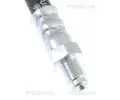 TRISCAN Brzdov hadice TRI 8150 25106, 8150 25106